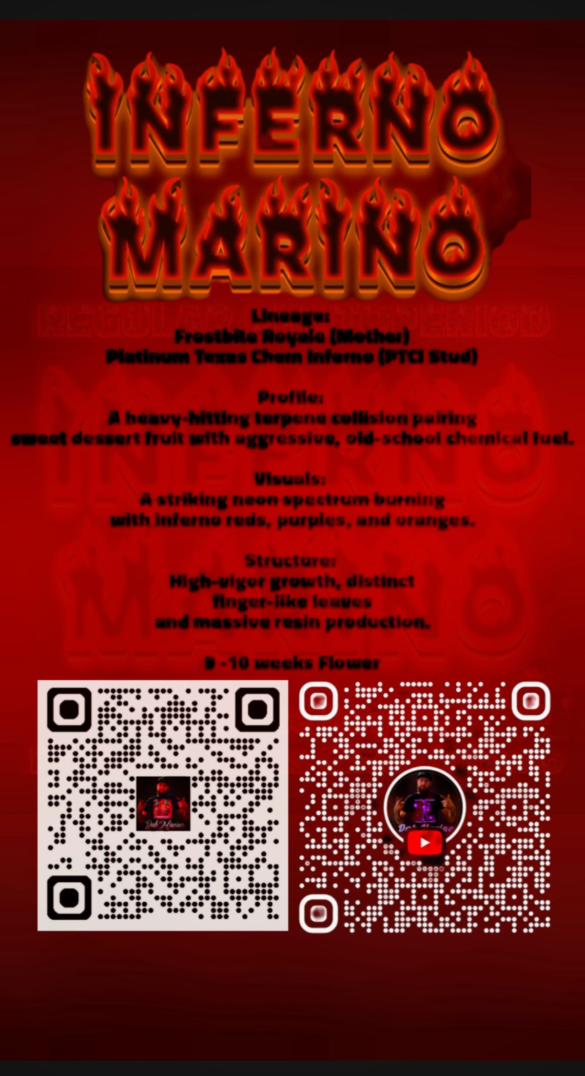Inferno Marino