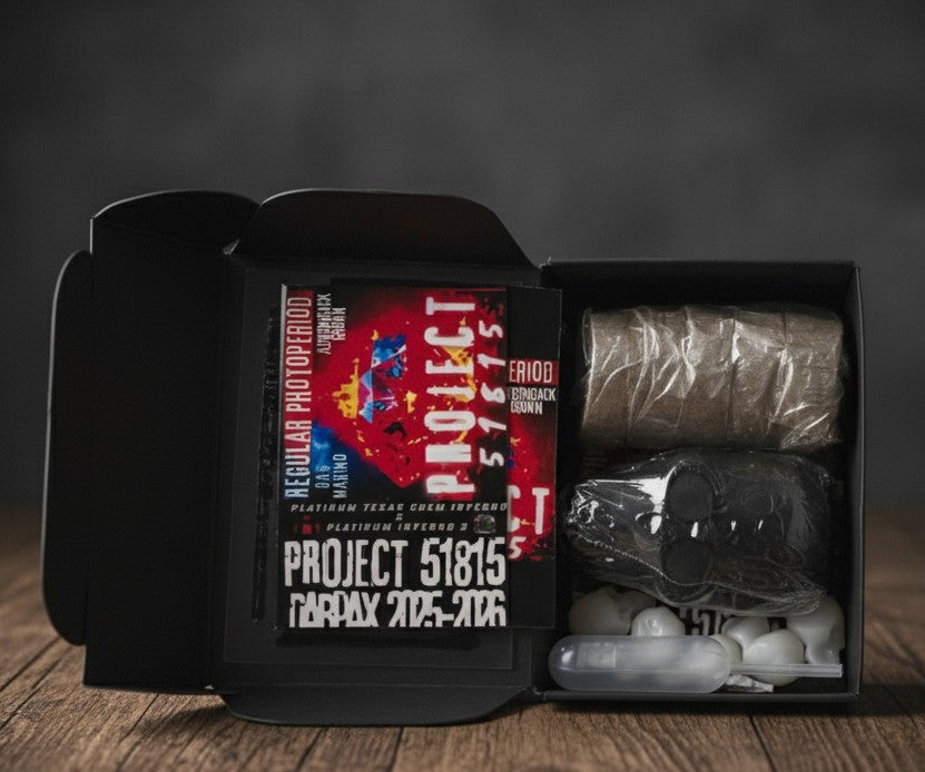 Project 51815 Skull Kit