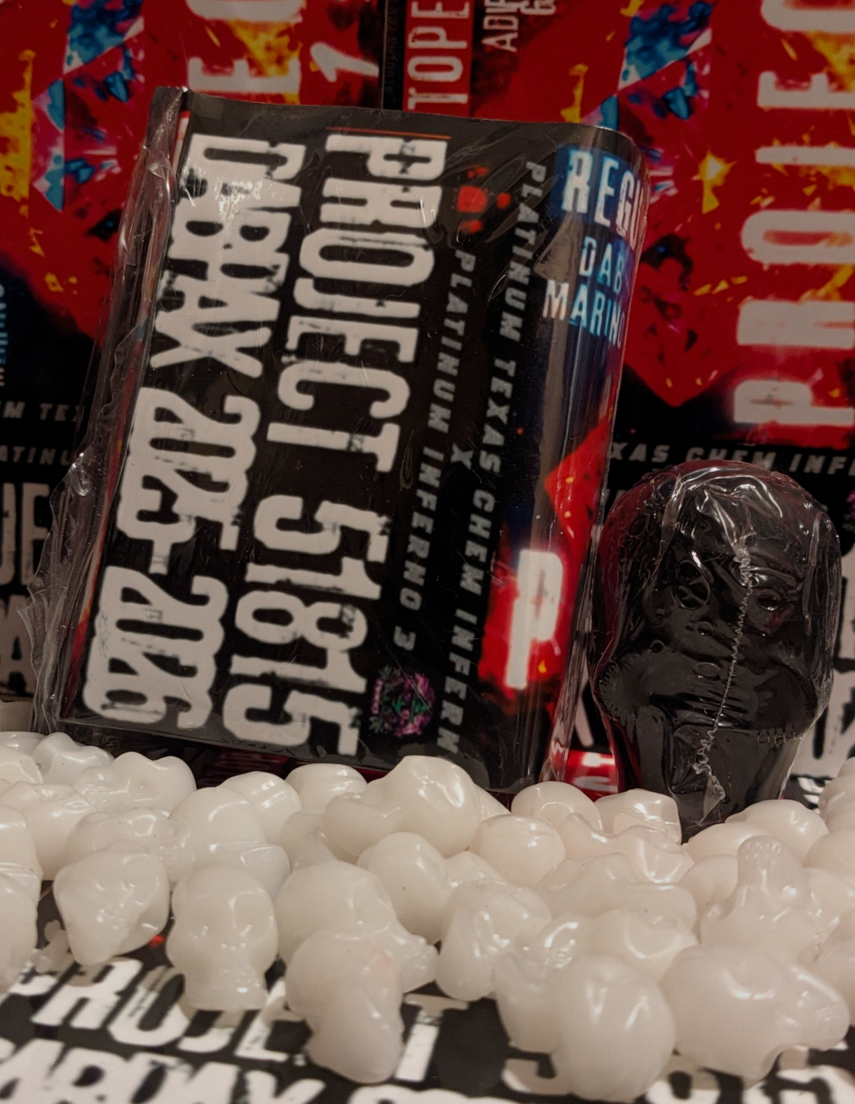 Project 51815 Skull Kit