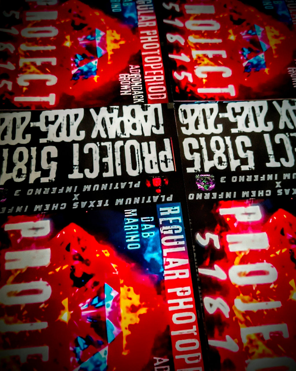 Project 51815 Skull Kit