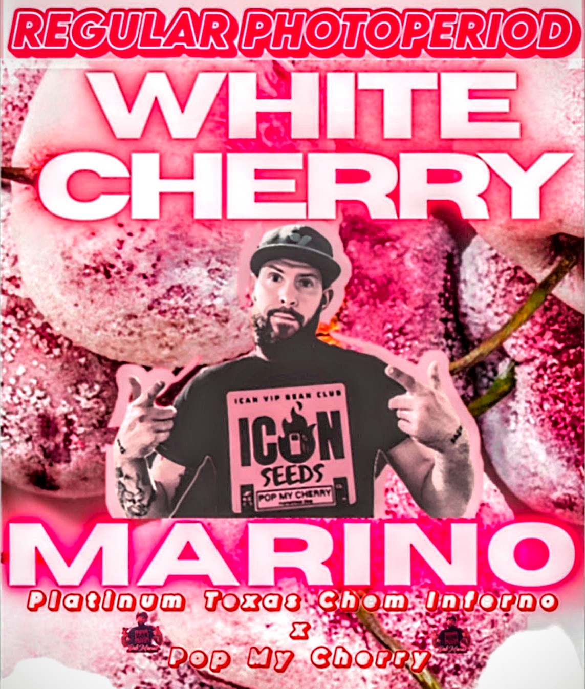 White Cherry Marino